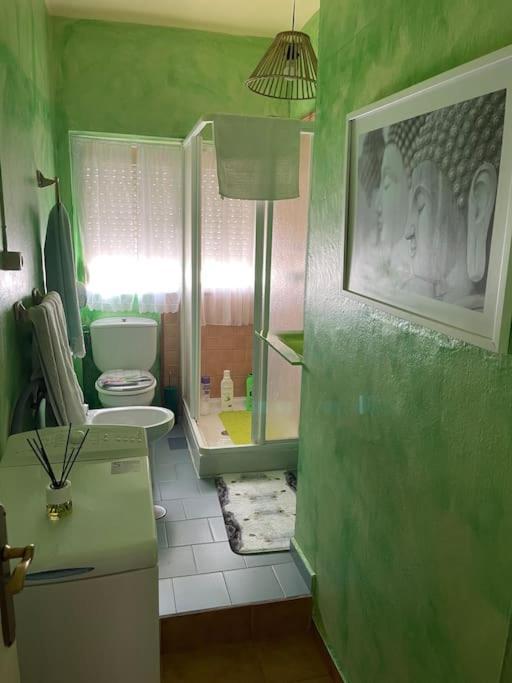 דירות טריפה Encantador Apartamento Acogedor מראה חיצוני תמונה